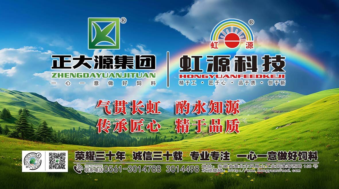 慈善关爱 大爱同行 | 2024年正大源虹源科技春节慰问困难家庭(图7) 慈善关爱 大爱同行 | 2024年正大源虹源科技春节慰问困难家庭(图7)